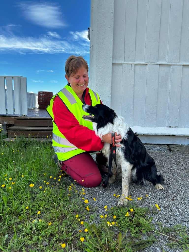 Kadaverhundkurs og godkjenningsprøver Snertingdal