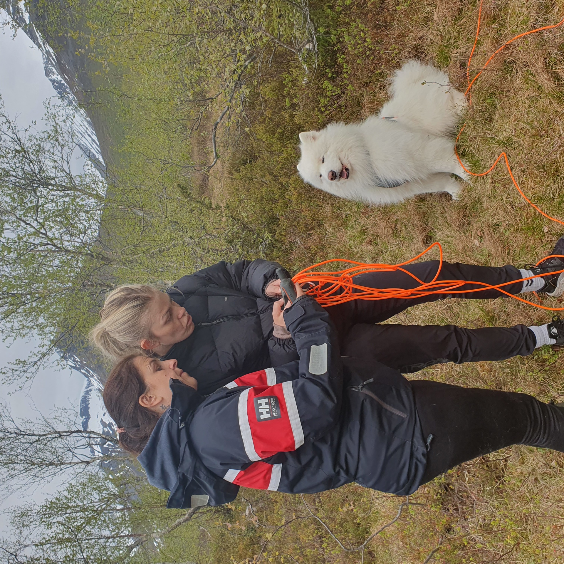 Kadaversøkskurs i Stordal