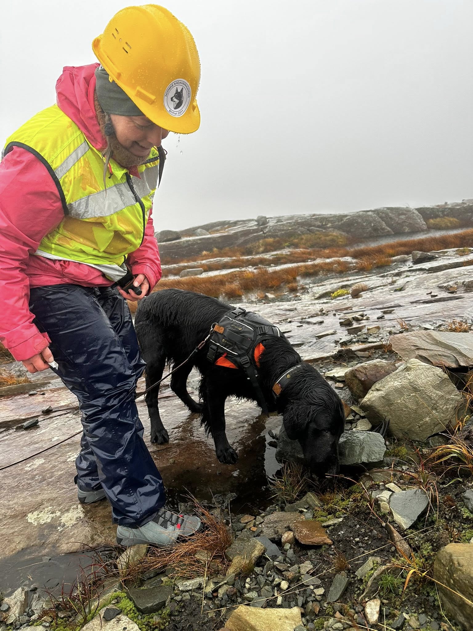 Artikkelbilde til artikkelen Kurs i vindmøllesøk