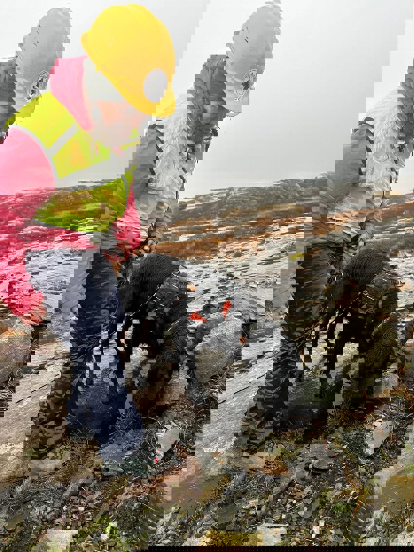 Kurs i vindmøllesøk