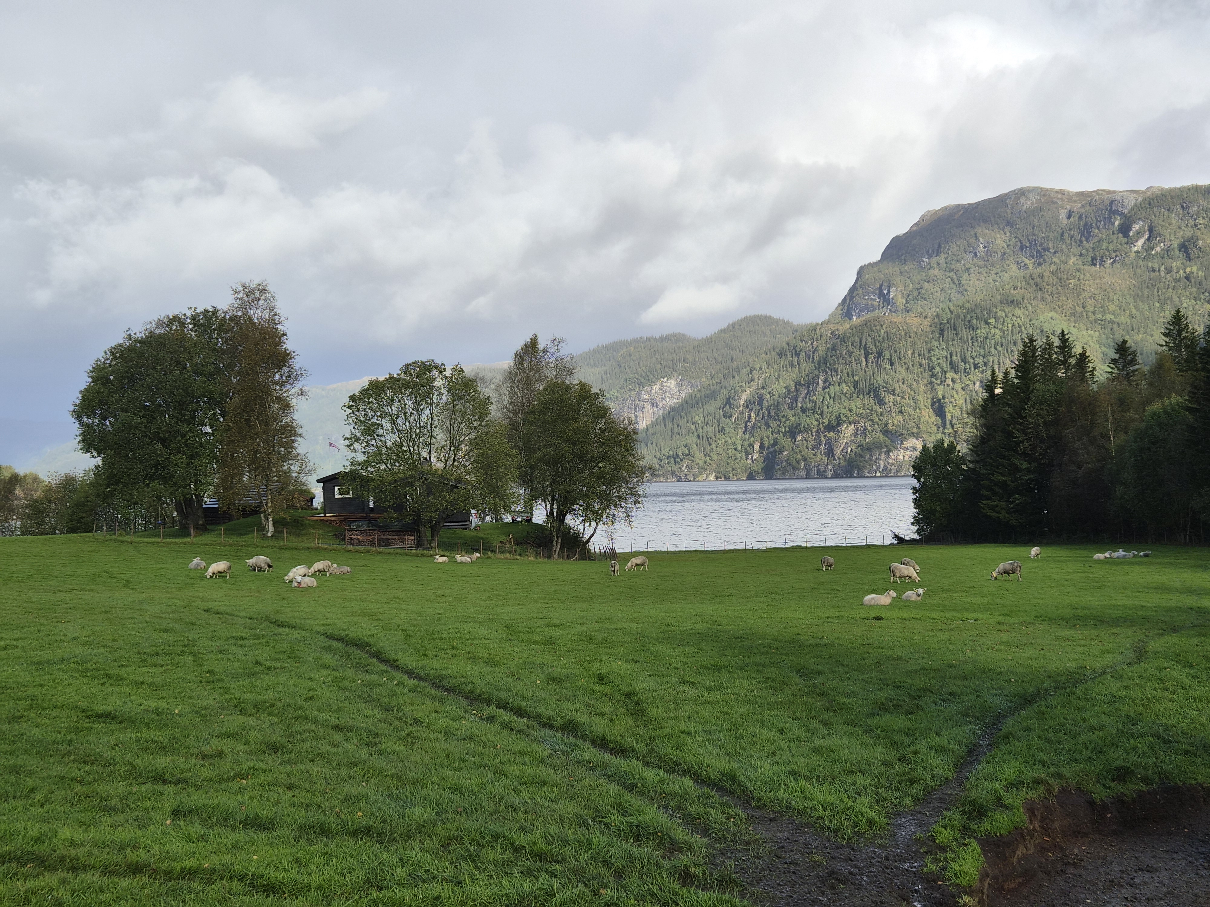 Artikkelbilde til artikkelen Godkjenningsprøve, Høylandet (Trøndelag)