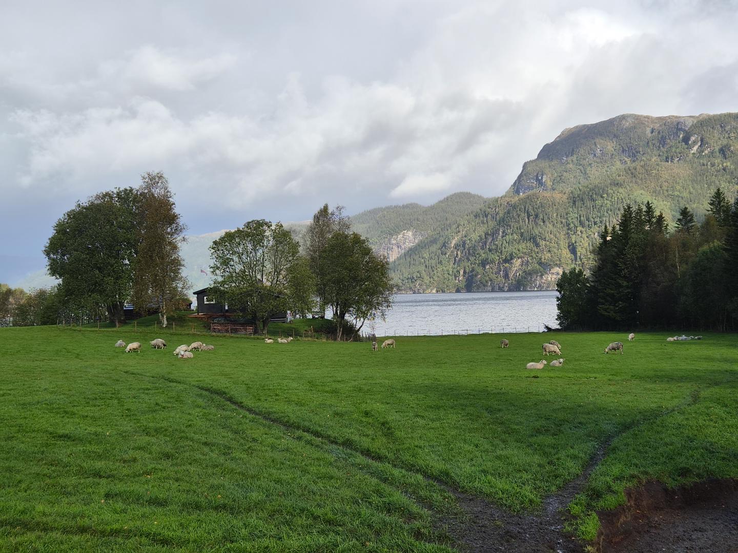 Godkjenningsprøve, Høylandet (Trøndelag)