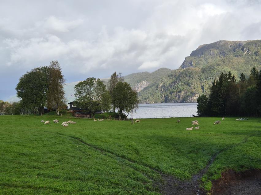 Godkjenningsprøve, Høylandet (Trøndelag)